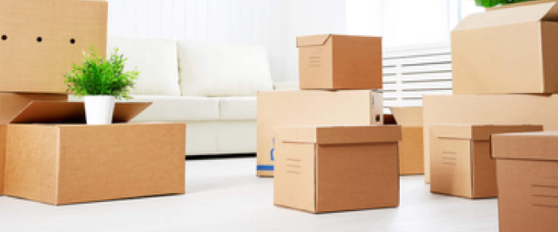 Reviews of Moving Companies